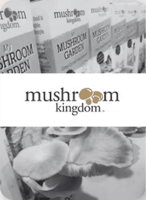 Mushroom Kingdom