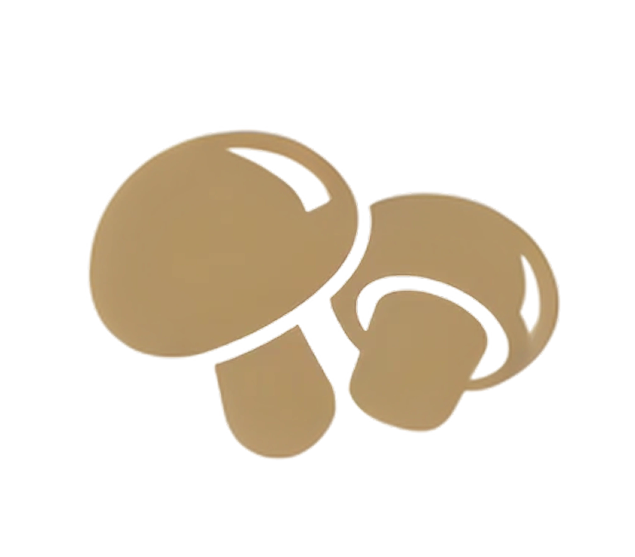 Centered top image